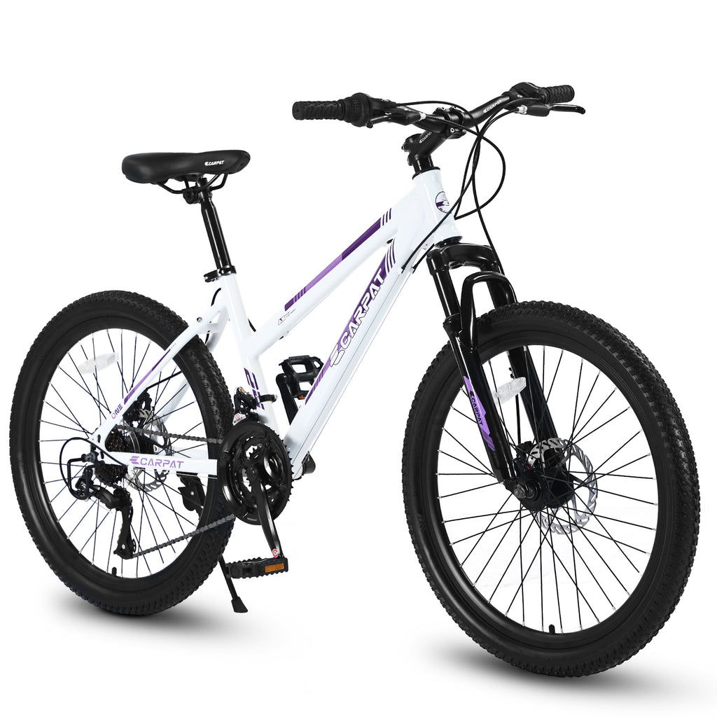 24-Inch 21-Speed Women's Mountain Bike, Dual Disc Brake-lymiu