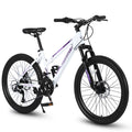 24-Inch 21-Speed Women's Mountain Bike, Dual Disc Brake-lymiu