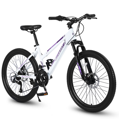 24-Inch 21-Speed Women's Mountain Bike, Dual Disc Brake-lymiu
