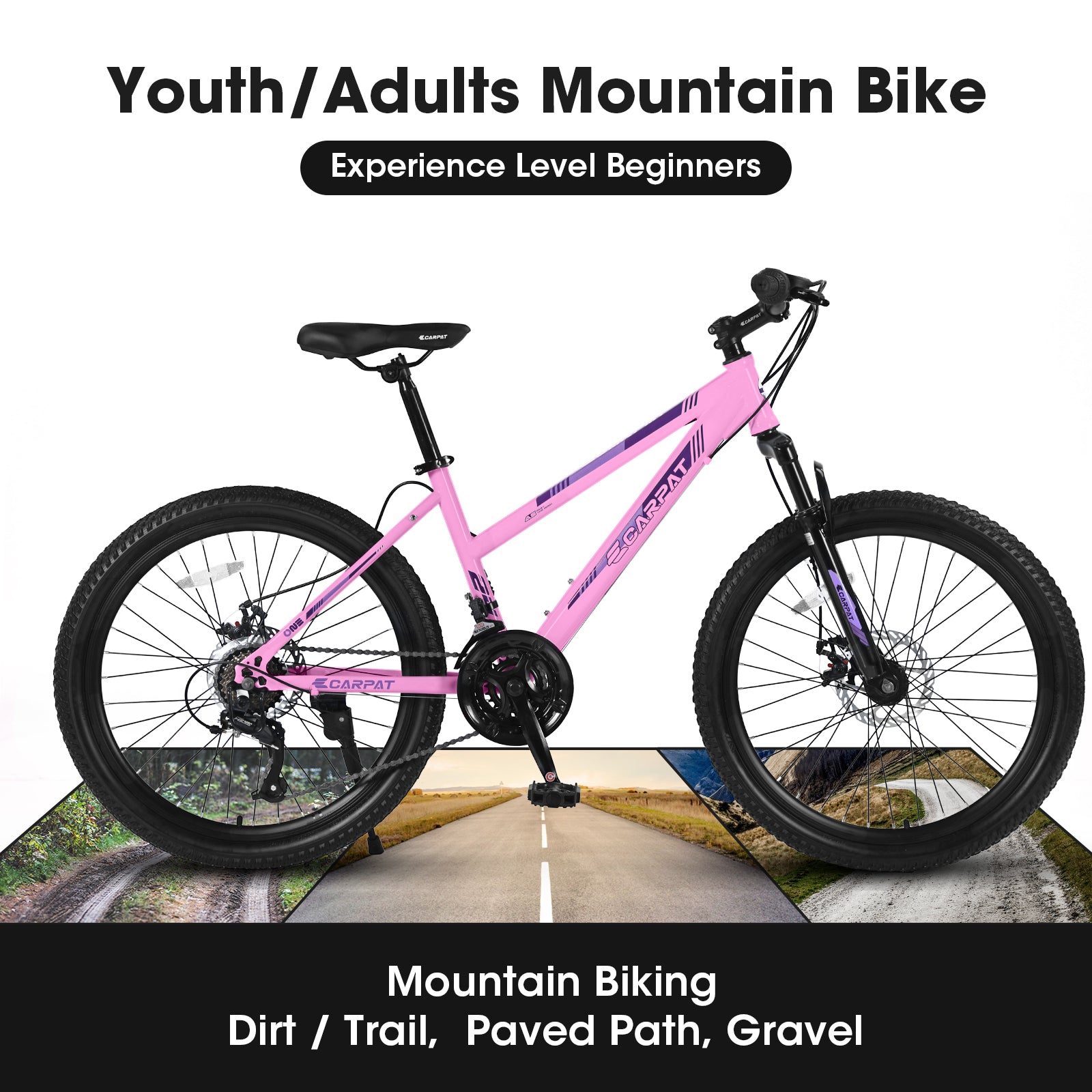 24-Inch 21-Speed Women's Mountain Bike, Dual Disc Brake-lymiu