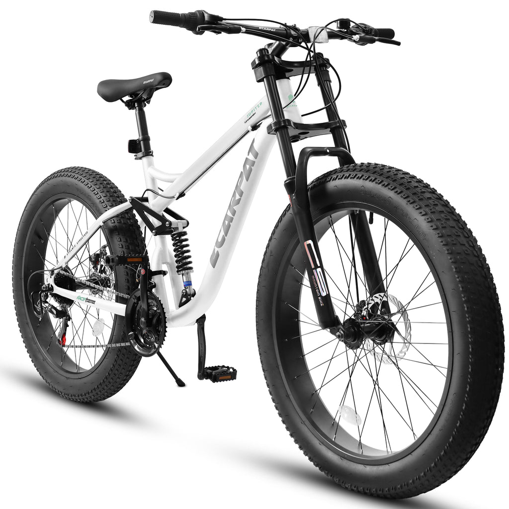 A26309 26-Inch Full-Suspension Fat Tire Mountain Bike, 21-Speed-Lymiu