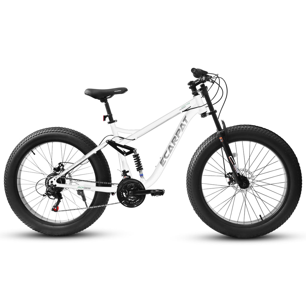 A26309 26-Inch Full-Suspension Fat Tire Mountain Bike, 21-Speed-Lymiu