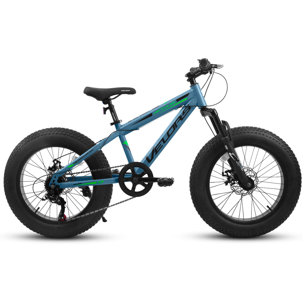 V20235 20-Inch 7-Speed Fat Tire Mountain Bike, Dual Disc Brake, lymiu