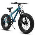 V20235 20-Inch 7-Speed Fat Tire Mountain Bike, Dual Disc Brake, lymiu