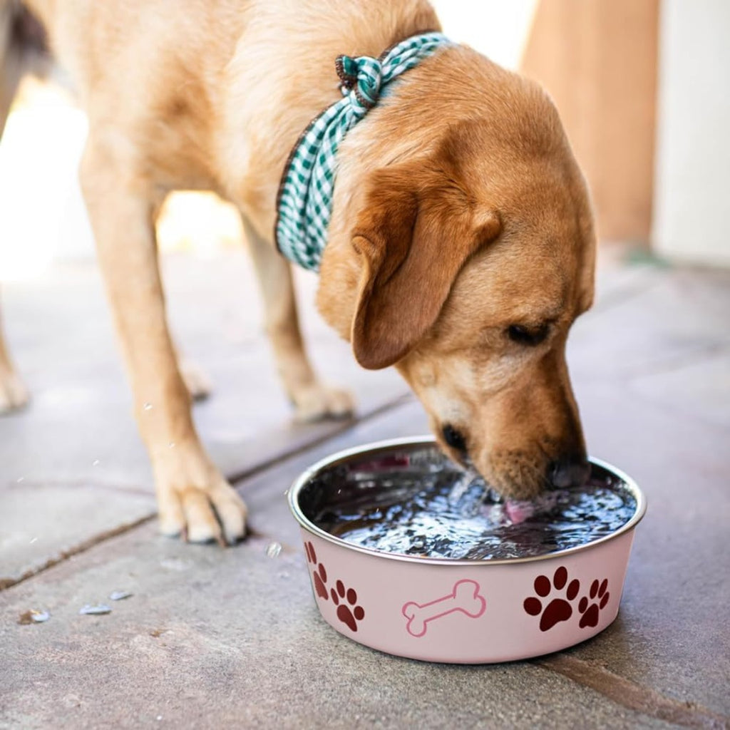 Stainless Steel Dog & Cat Bowl with Removable Rubber Base - Spill-Proof Pet Feeder-lymiu