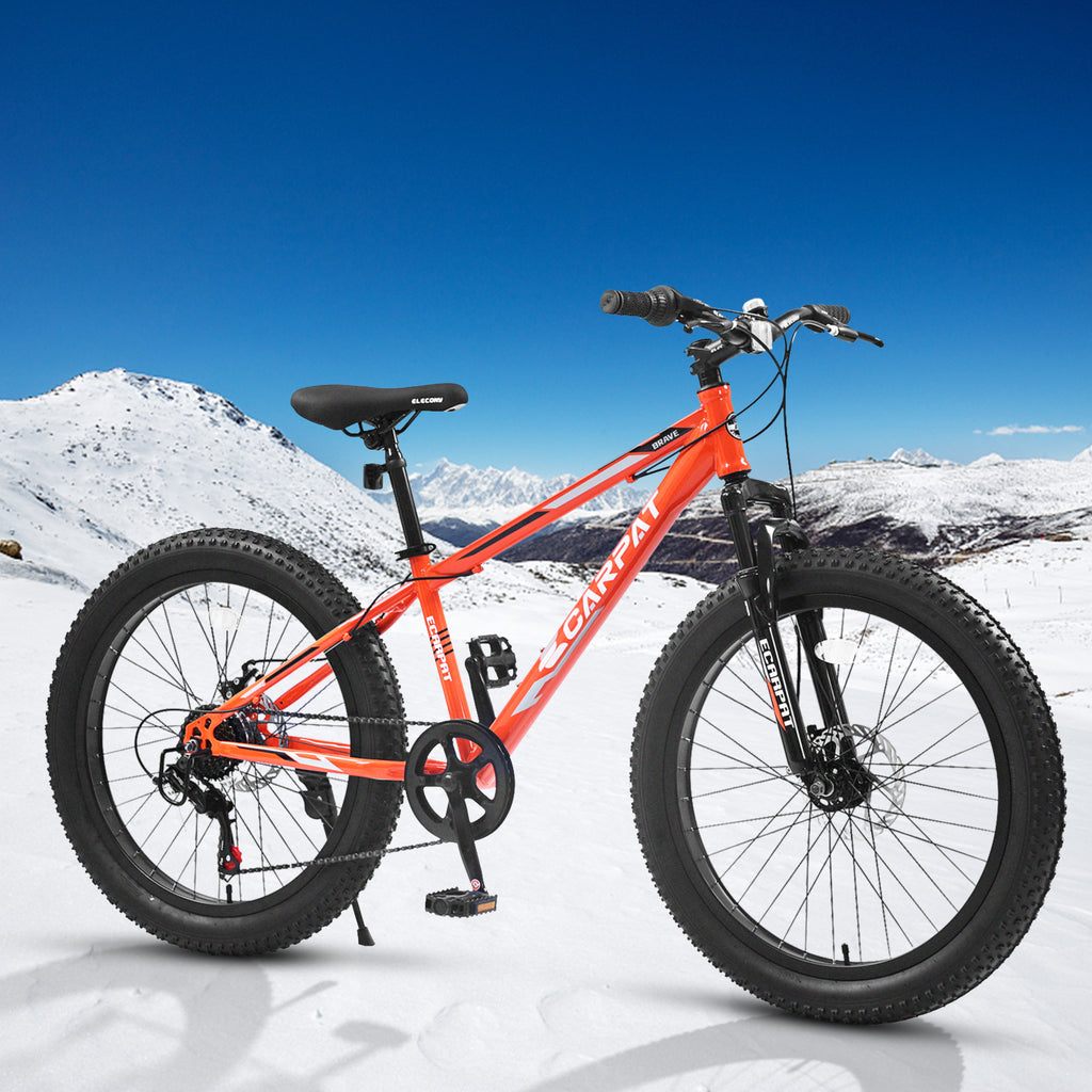 Elecony 24-Inch 7-Speed Fat Tire Mountain Bike, Dual Disc Brake-lymiu