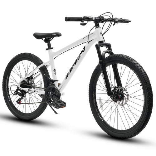 26-Inch Mountain Bike – 21-Speed All-Terrain MTB with Disc Brakes