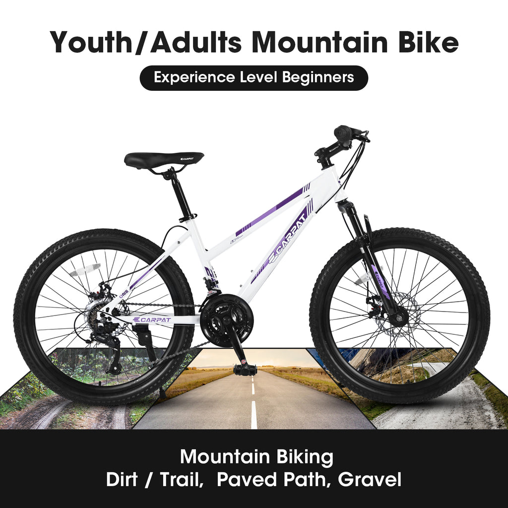 24-Inch 21-Speed Women's Mountain Bike, Dual Disc Brake-lymiu