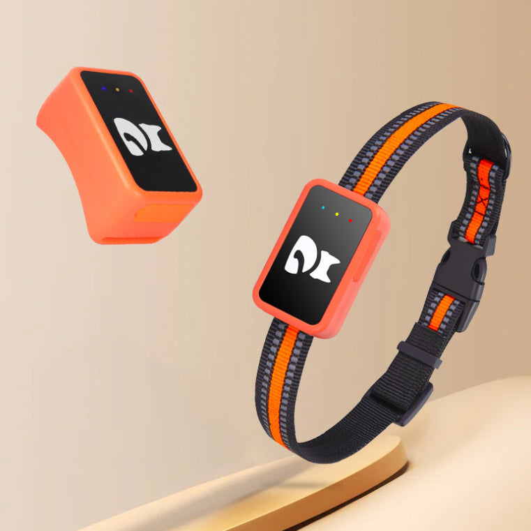 Anti-Lost GPS Pet Collar Tracker | Lymiu