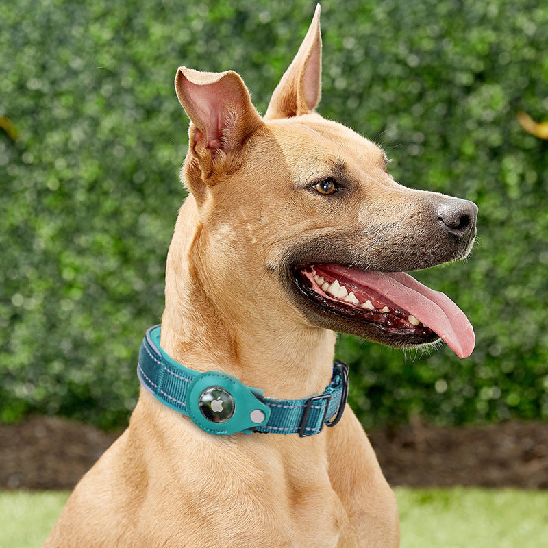 Apple AirTag Pet Collar Cover | Lymiu