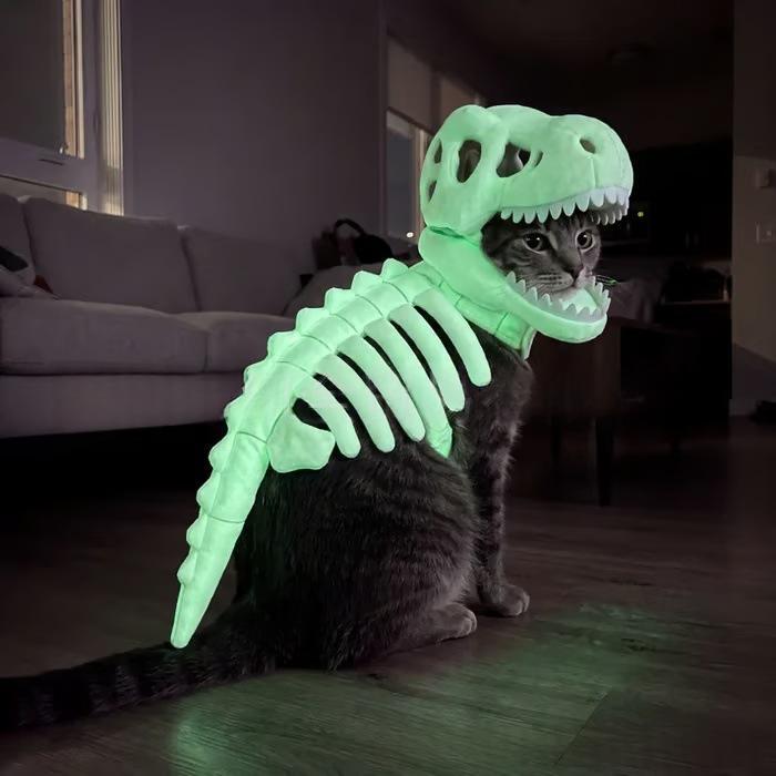 Dark Dinosaur Skeleton Pet Costume for Dogs and Cats | LYMIU