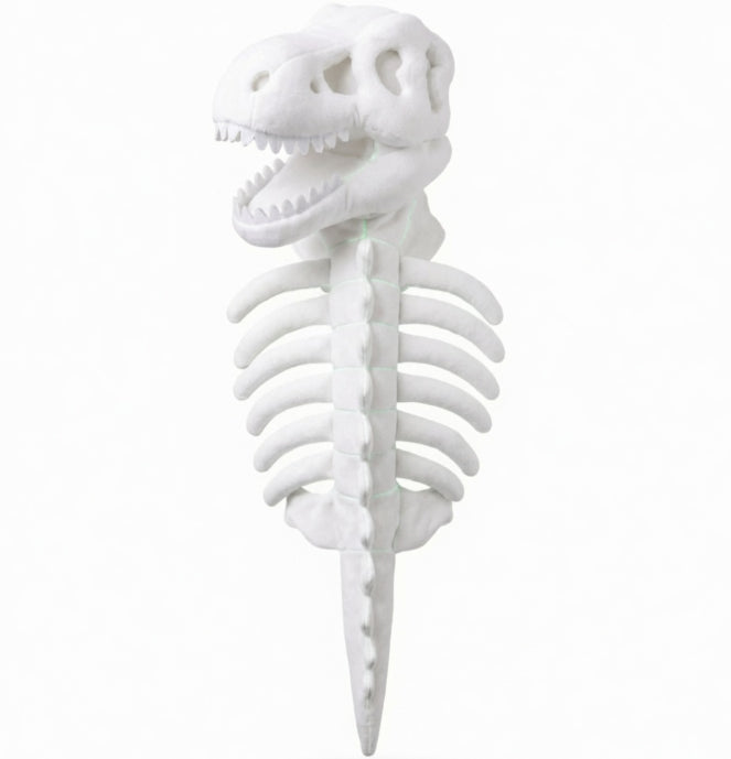 Dark Dinosaur Skeleton Pet Costume for Dogs and Cats | LYMIU