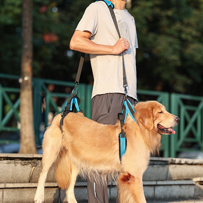 Dog Mobility Support and Rehabilitation Lifting Harness Strap | LYMIU