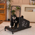 Dog Treadmill for Medium Dogs | Lymiu Store