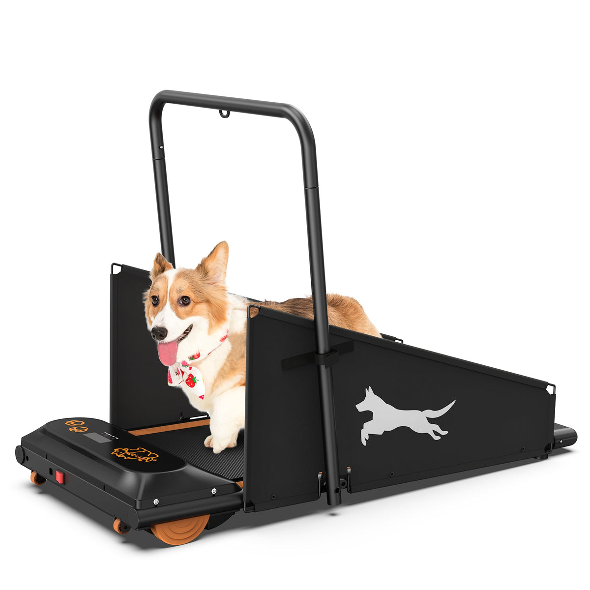 Dog Treadmill for Small & Medium Dogs | Lymiu