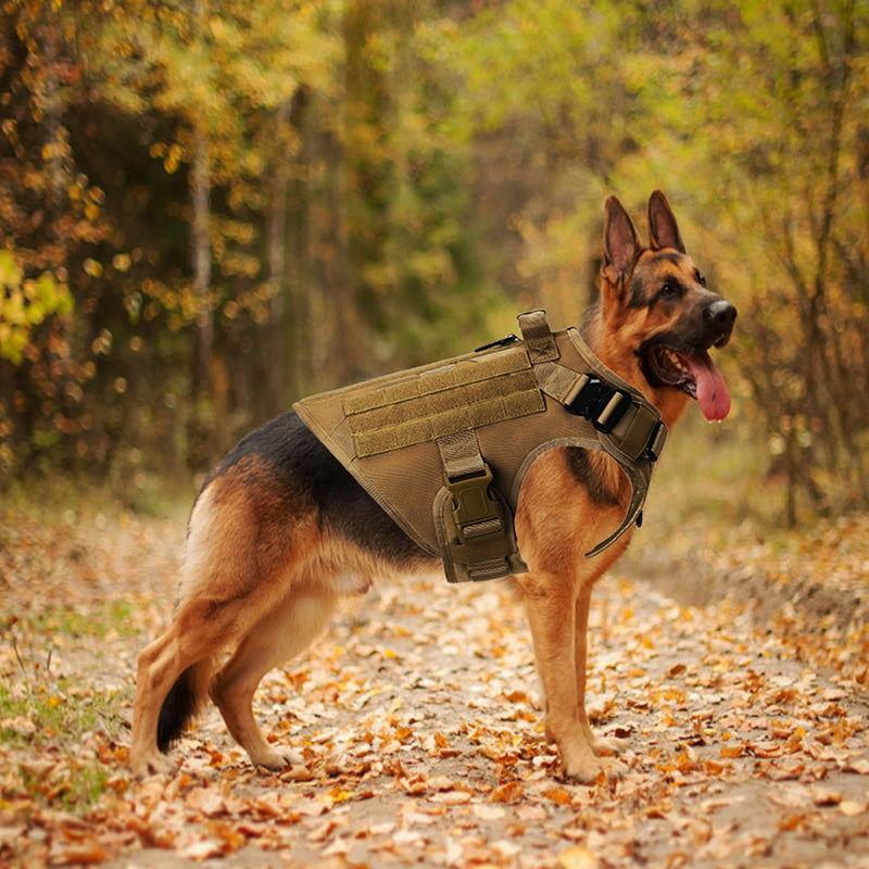 Outdoor Tactical Dog Vest and Harness for Large Dogs | LYMIU