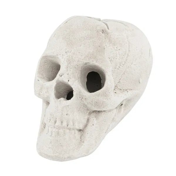 Realistic Ceramic Human Skull Fire Pit Halloween Decoration | LYMIU
