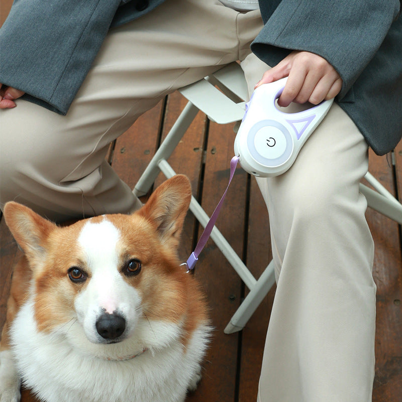 Retractable Dog Leash and Collar Set with Spotlight | LYMIU