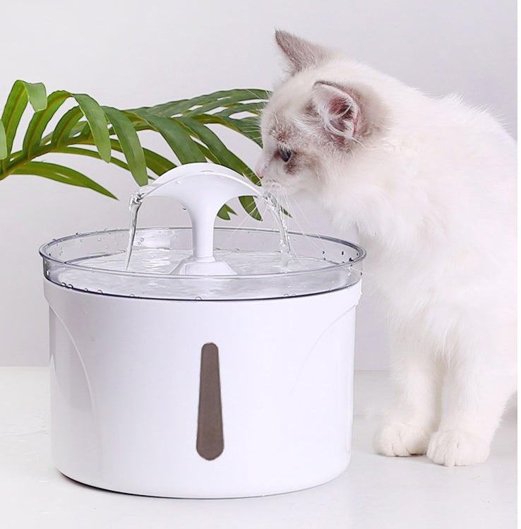 Smart Pet Water Dispenser & Circulating Fountain