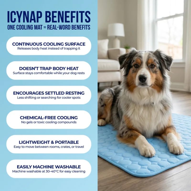 Breathable Pet Ice Silk Cooling Pad & Anti-Slip Summer Dog Bed Mat-lymiu