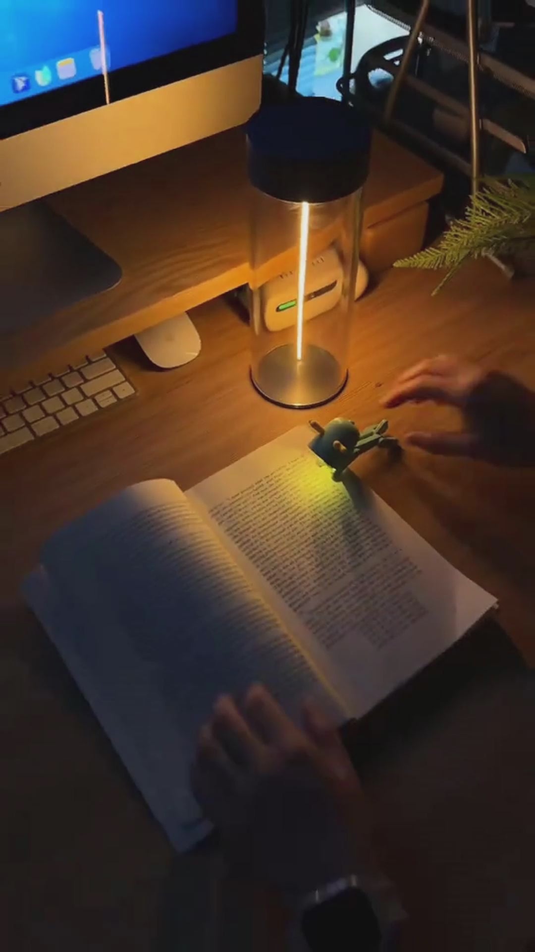 Portable LED Camping Light & Type-C Rechargeable Creative Night Light-lymiu