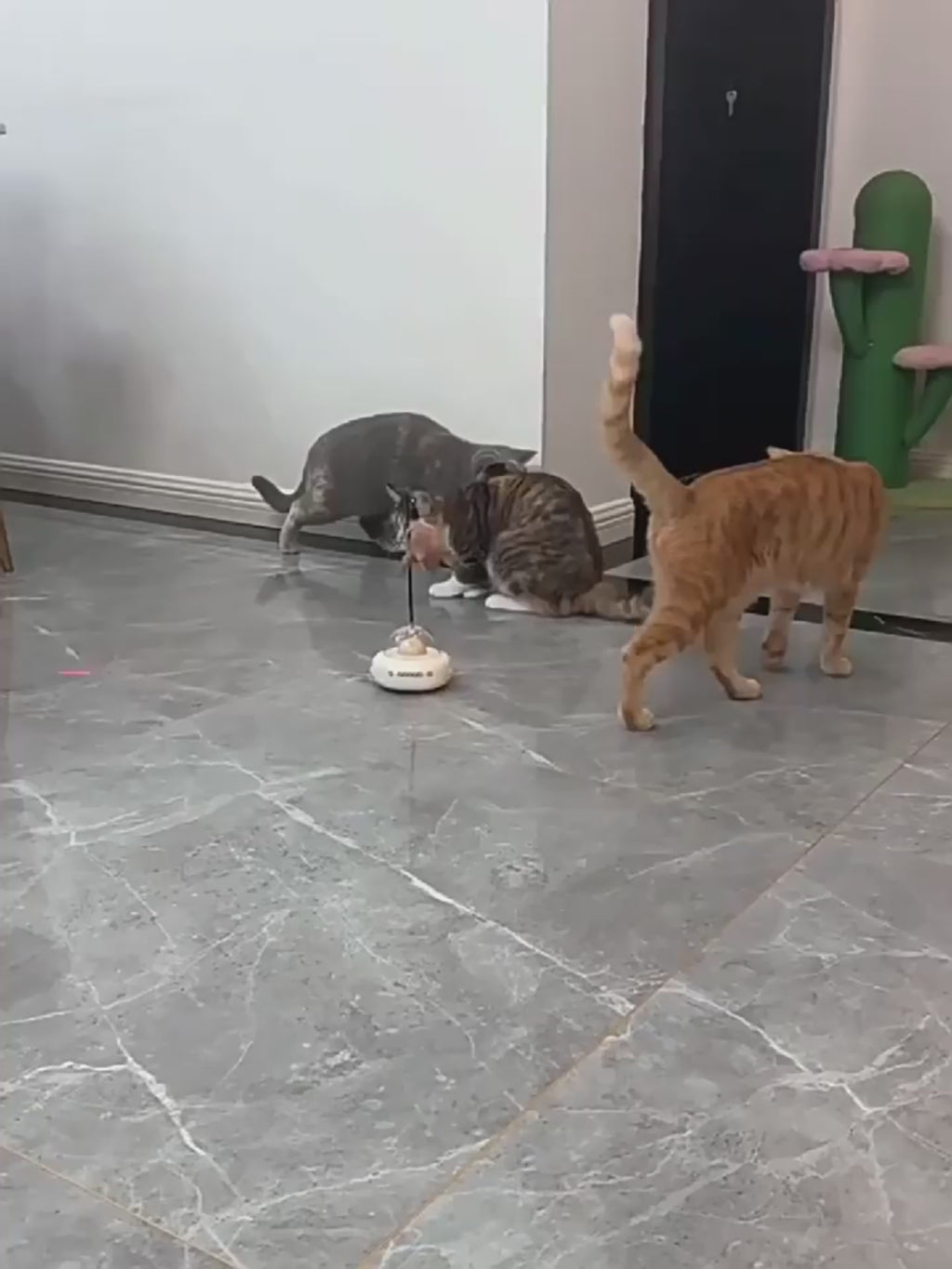 Smart Electric UFO Cat Toy | Interactive Feather Teaser & Pet Training Toy-lymiu