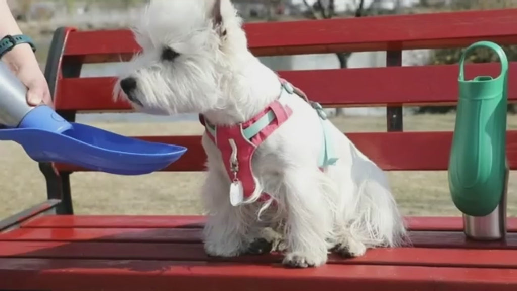 Portable Pet Dog Water Bottle with Soft Silicone Leaf - Outdoor Travel Drinking Dispenser